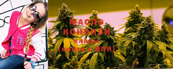 СК Алексин