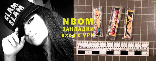 СК Алексин