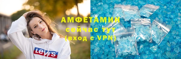 СК Алексин