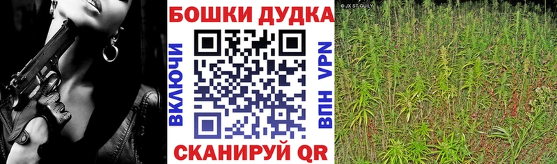 где купить наркоту Тосно Бошки Шишки марихуана